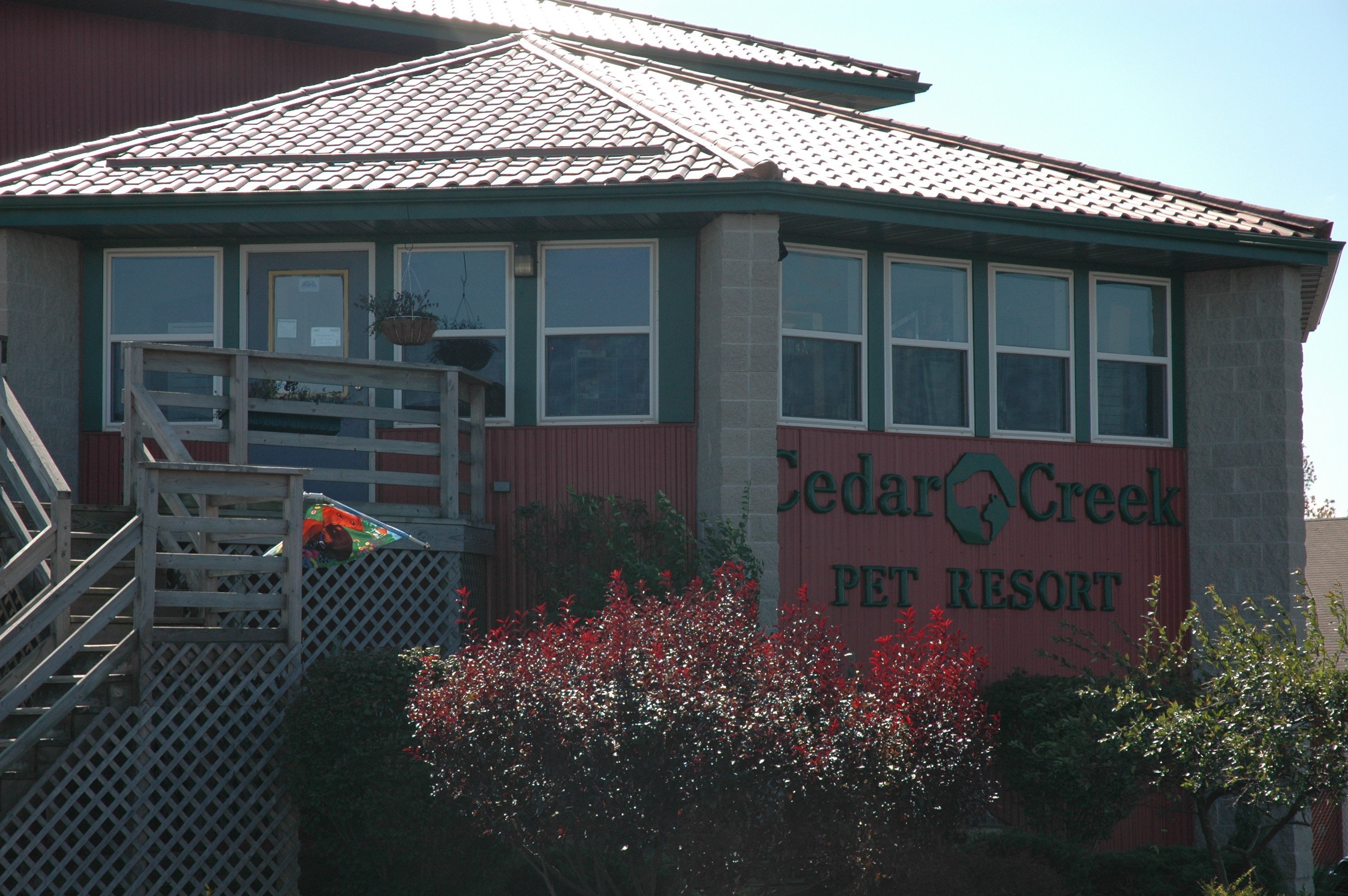 Cedar Creek Pet Resort A Place For Pampered Pets